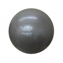 Povit 75 cm Pilates Topu Gri Renk Gym Ball