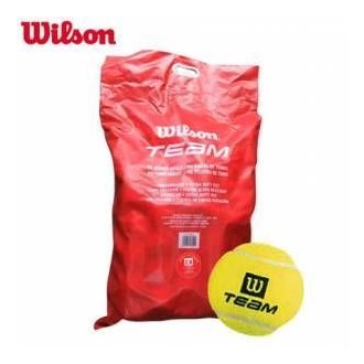 Wilson 96`lı Poşetli Tenis Topu Antrenman (Trainer)
