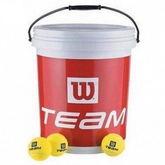 Wilson 72`li Kovalı Tenis Topu Antrenman (Trainer)